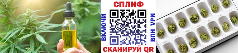 Купить где  Семёнов  Canna-Cookies конопля 