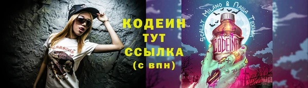 стаф Богородицк
