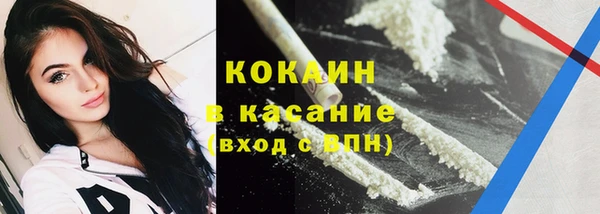 стаф Богородицк