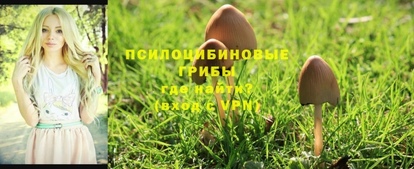 mdpv Белокуриха