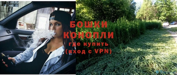 ALPHA PVP Богородск