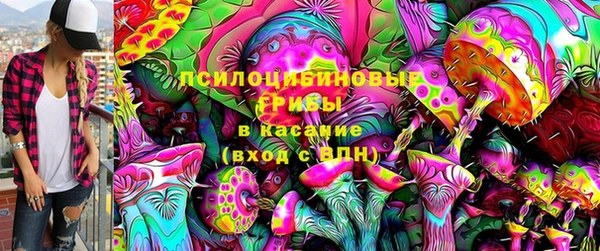 mdpv Белокуриха