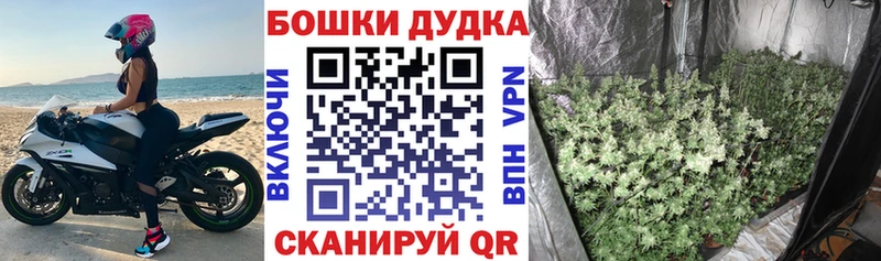 Купить где  Семёнов  Канабис гибрид 